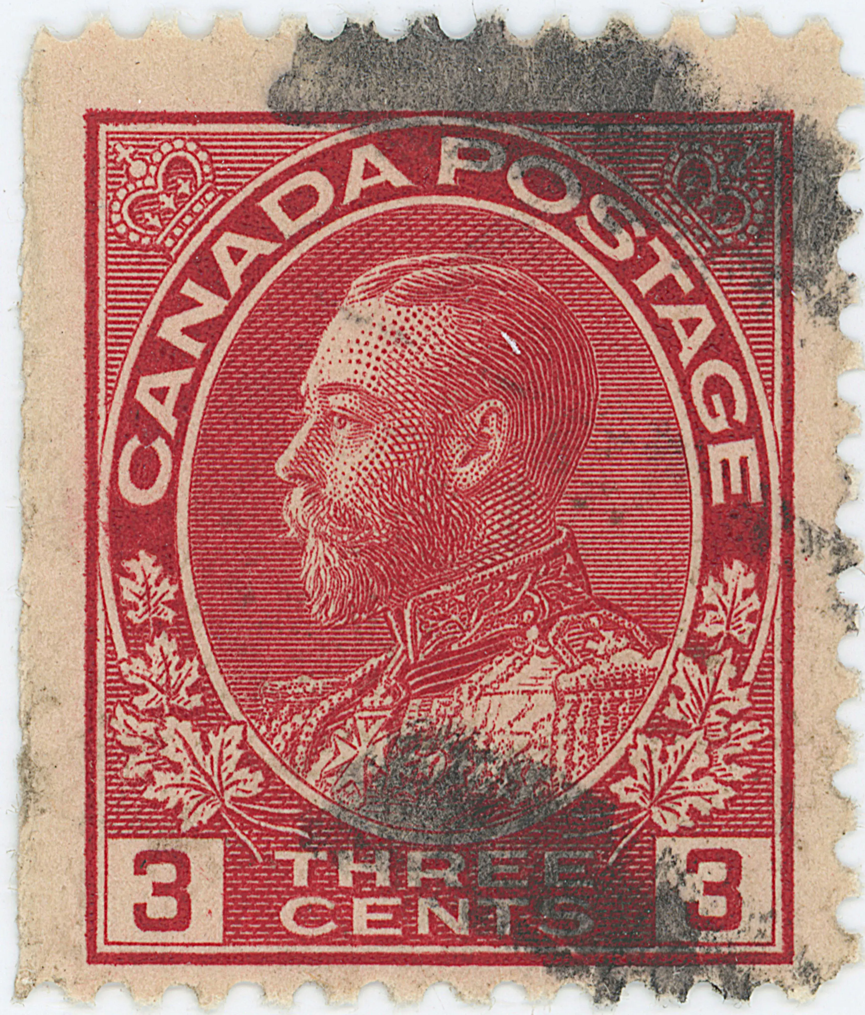 3¢C TLD 4d b.webp